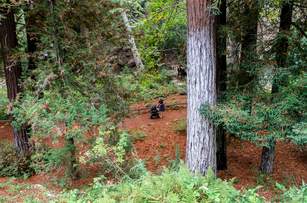 Santa Barbara Botanic Garden | Roads and Destinations