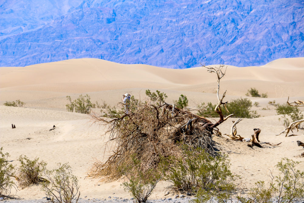 Death Valley - Roads and Destinations