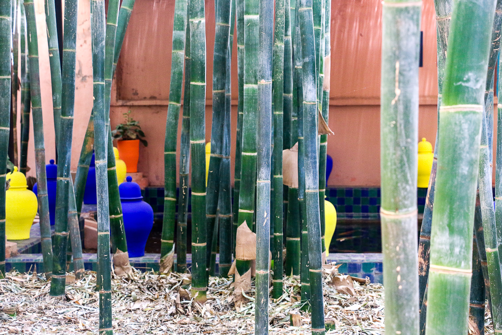 Majorelle Garden – Colorful Gem of Marrakech, roadsnaddestinations.com