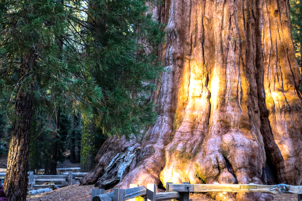 National Parks Perfect for a Day Trip from Los Angeles, roadsanddestinations.com