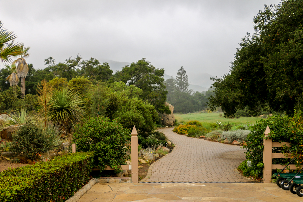 Santa Barbara Botanic Garden is Nothing Short of a National Park, roadsanddestinationa.com