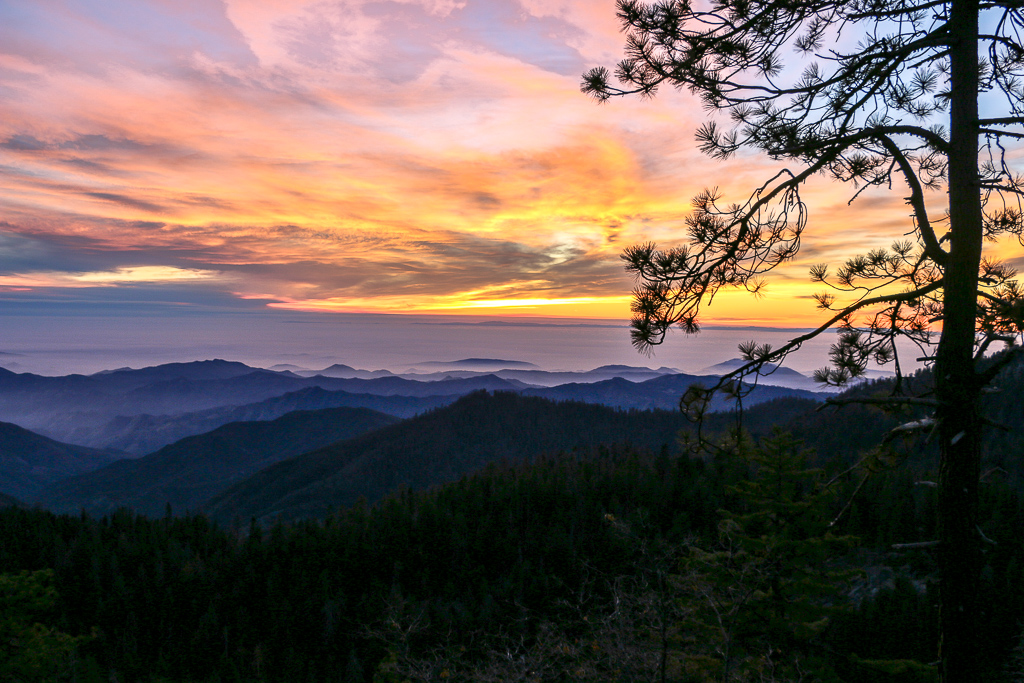 Sequoia National Park | Roads and Destinations