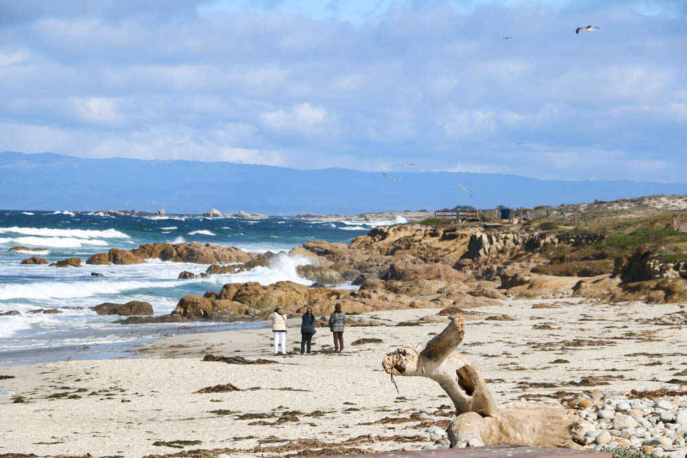 20 Pictures to Inspire You to Visit 17-Mile Drive, roadsanddestinations.com