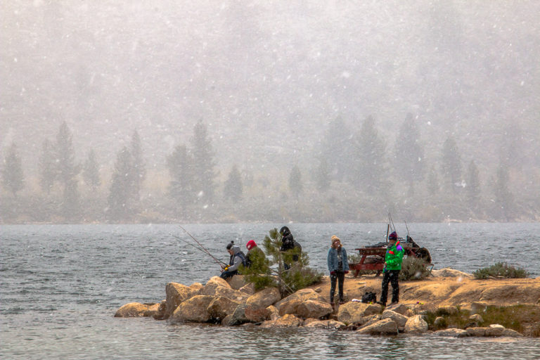 5 Best Places You Must Visit in Bridgeport, CA Roads and Destinations