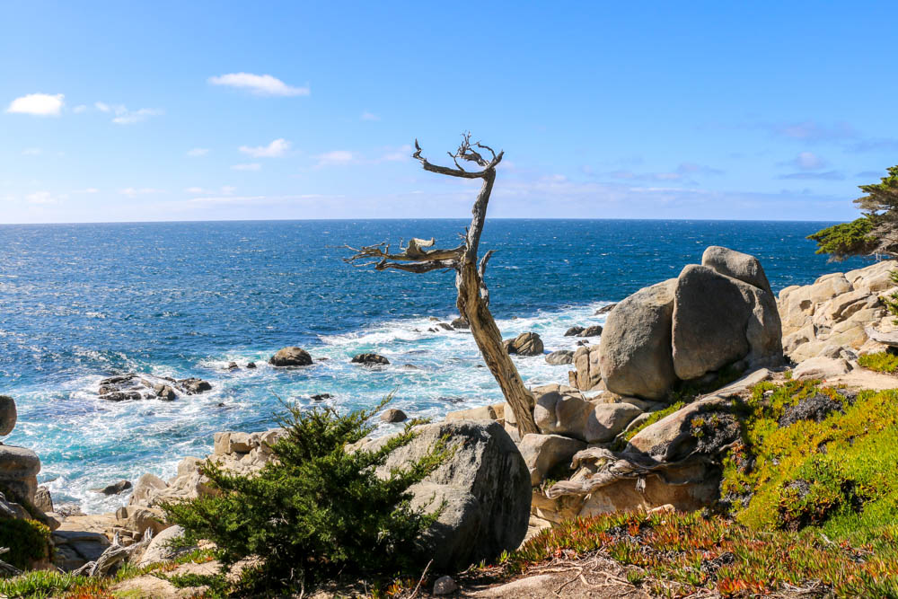 Monterey, roadsanddestinations.com