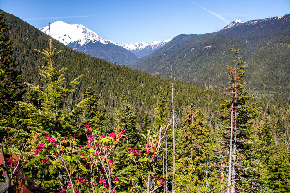 Mount Rainier; Day trips and weekend getaways from Portland - Roads and Destinations 