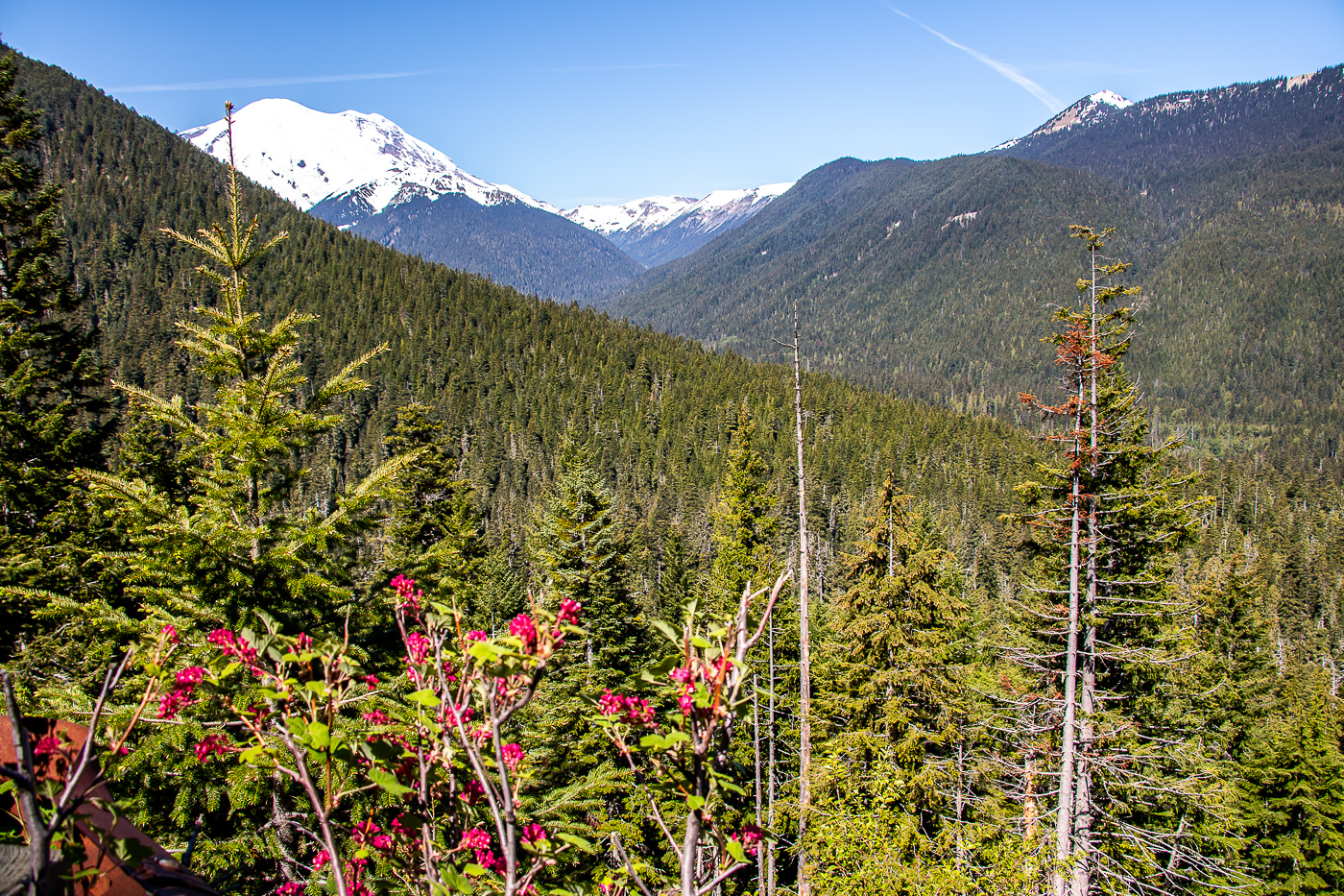 Mount Rainier - Roads and Destinations