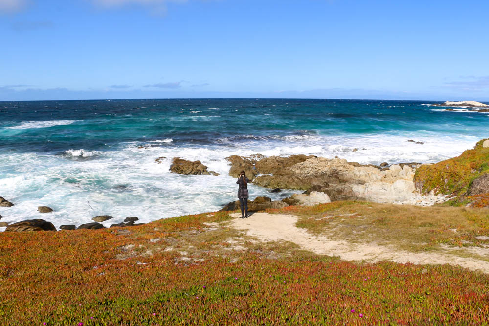 Visit 17-Mile Drive _ roadsanddestinations.com