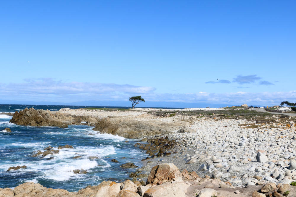 Visit 17-Mile Drive - roadsanddestinations.com