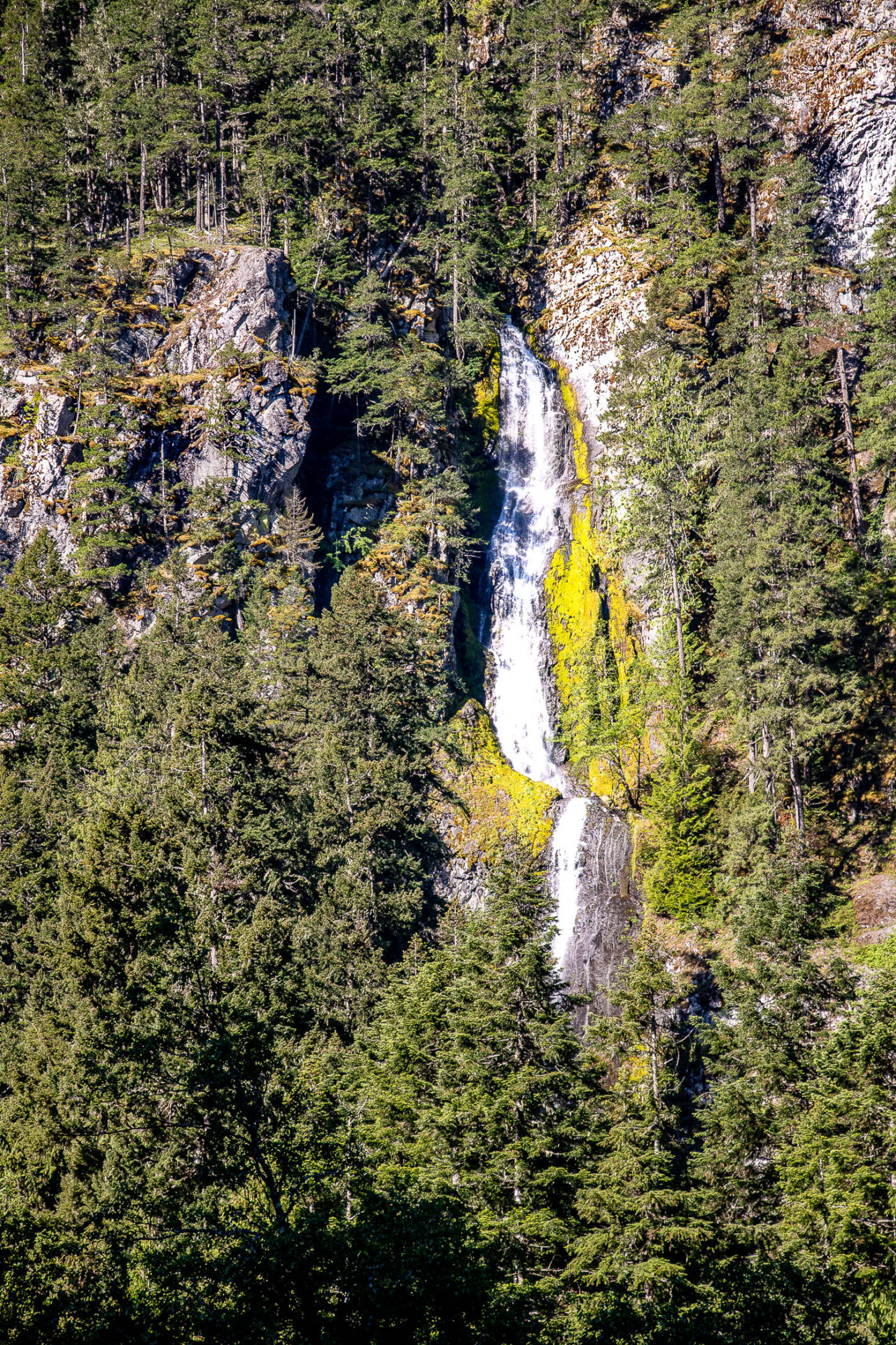 Visiting Mount Rainier National Park in One Day - Roads and Destinations