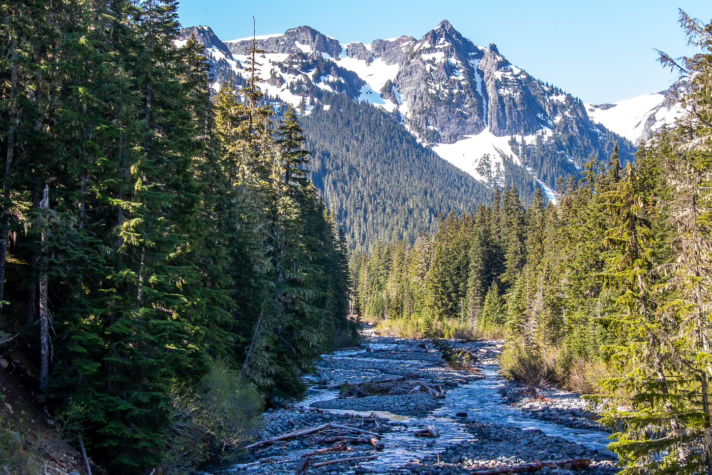 Visiting Mount Rainier National Park in One Day - Roads and Destinations