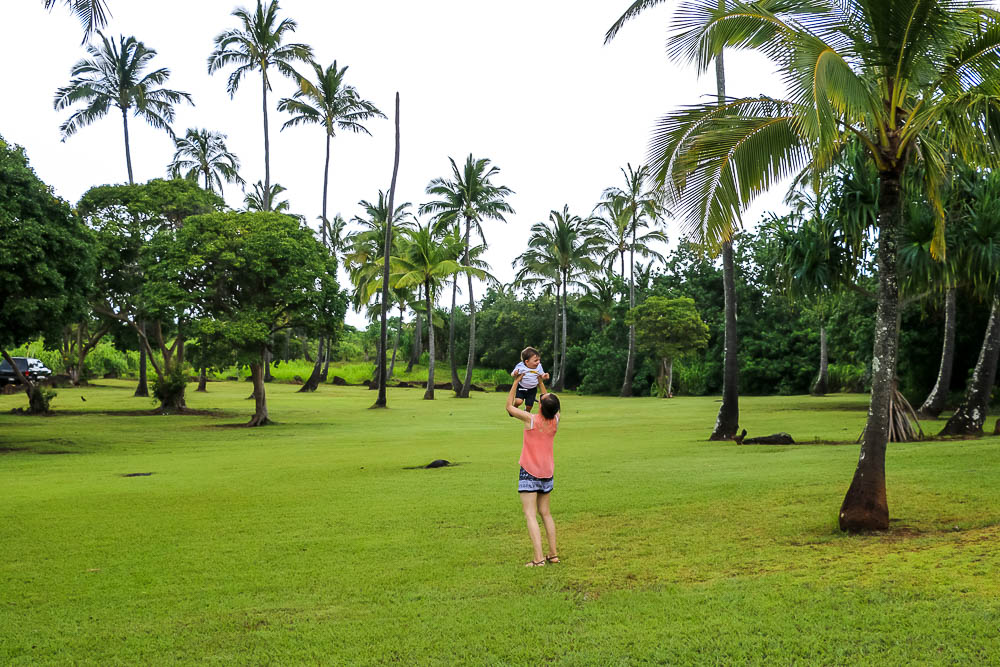 Epic Kauai Photo Diary - Roads and Destinations