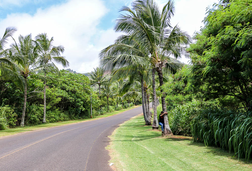 Hawaii, roadsanddestinations.com