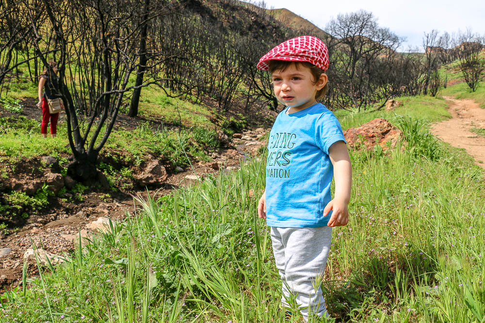 Least Crowded Hiking Places in Los Angeles - Roads and Destinations, roadsanddestinations.com