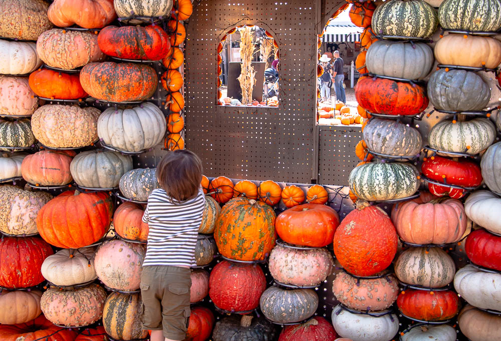 Mr. Bones Pumpkin Patch - www.roadsanddestinations.com