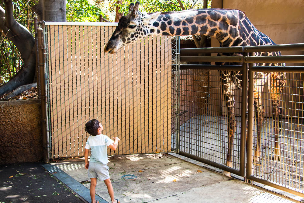 The Best Places in Los Angeles to Nurture Love for Nature in Kids _www.roadsanddestinations.com