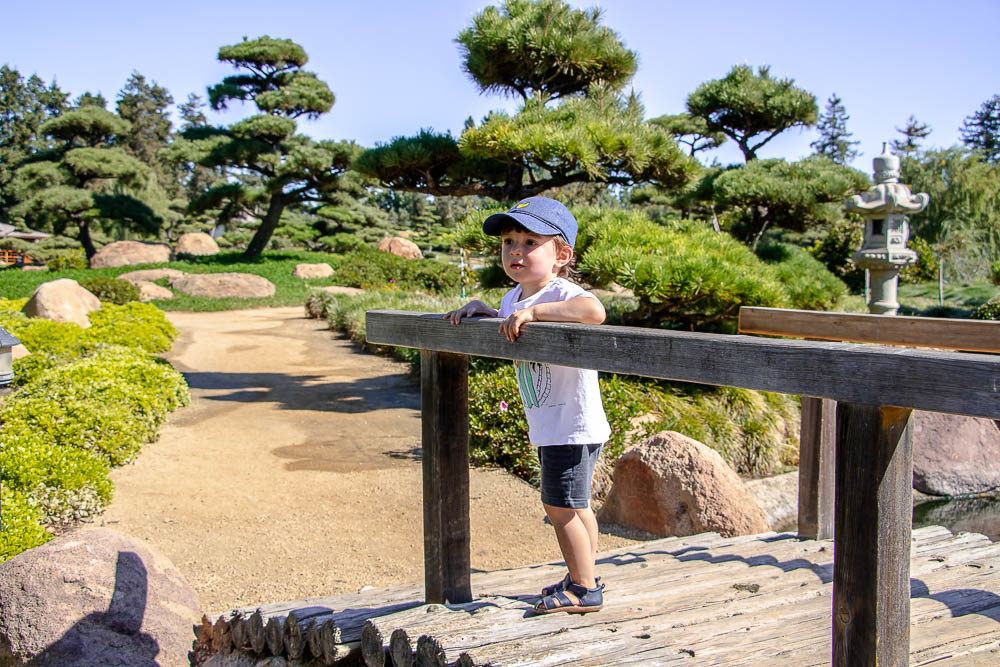 Outdoor activities for kids in Los Angeles | Roads and Destinations