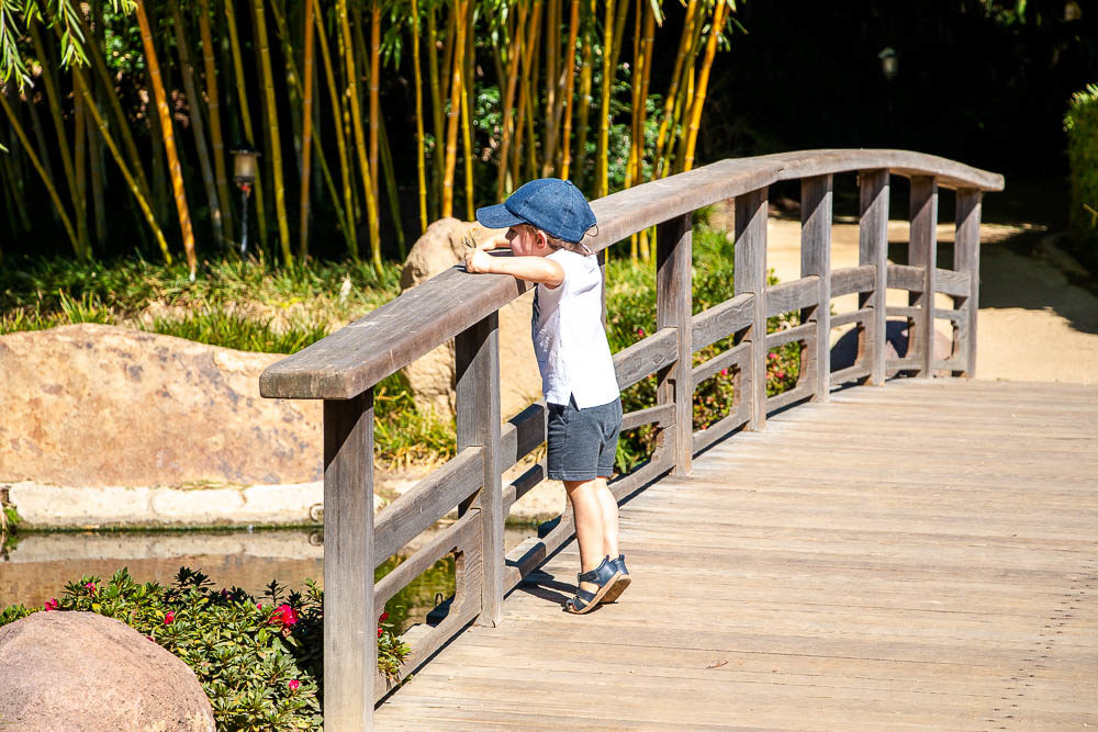 The Best Places in Los Angeles to Nurture Love for Nature in Kids - Roads and Destinations