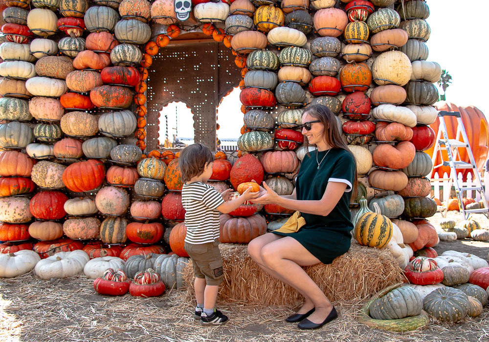 The prettiest pumpkin patches in Los Angeles roadsanddestinations.com