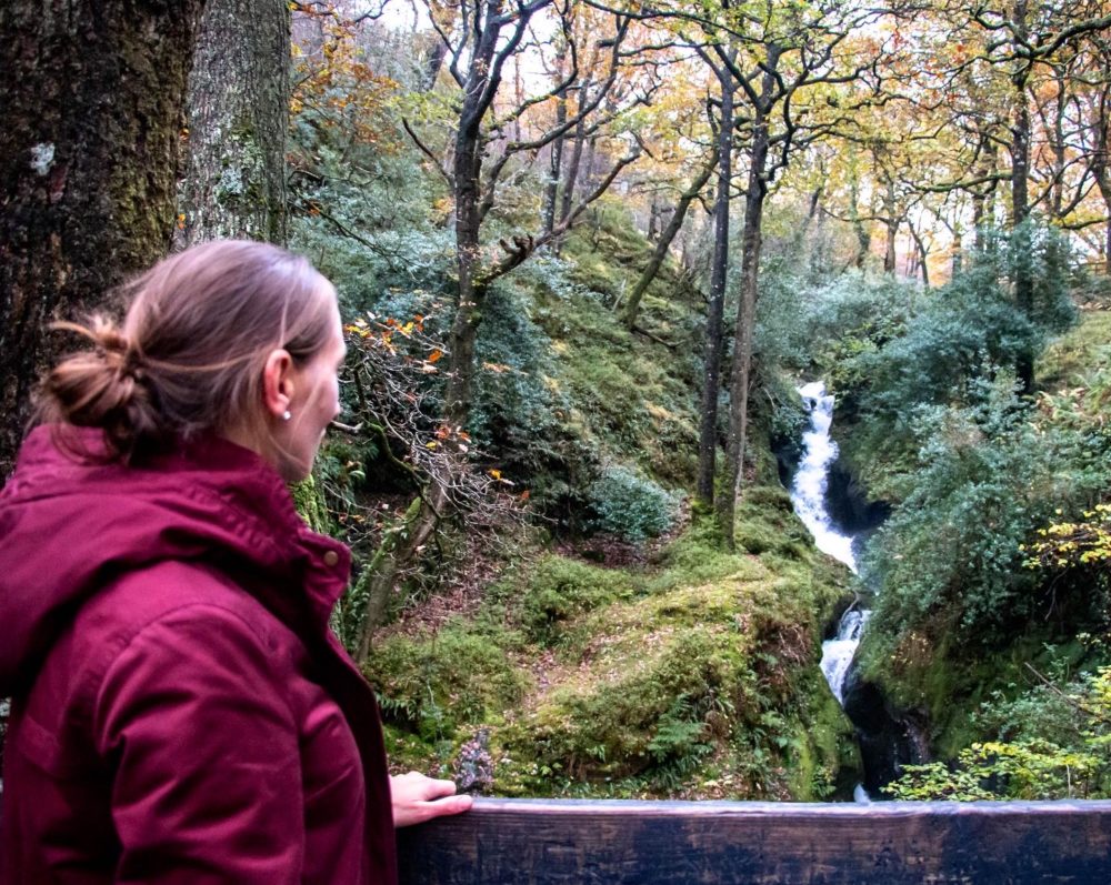 Forty Shades of Green, Ireland, Guided Tours, Wicklow | Roads and Destinations