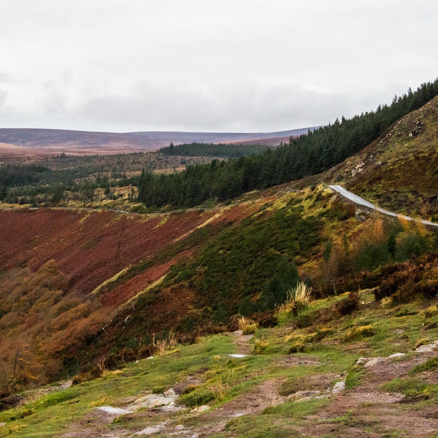 Forty Shades of Green, Ireland -Roads and Destinations