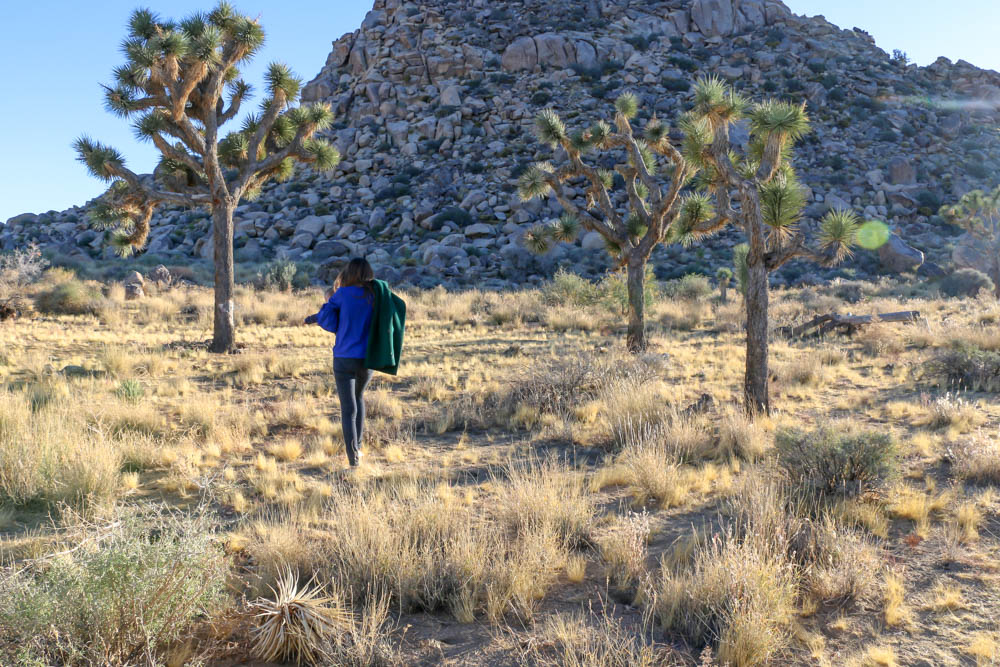 Things to Do in Joshua Tree National Park - Roads and Destinations