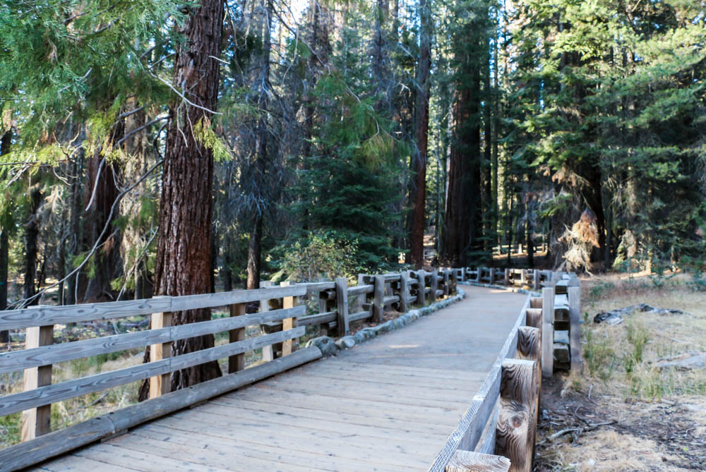 Visit Sequoia National Park, www.roadsanddestinations.com