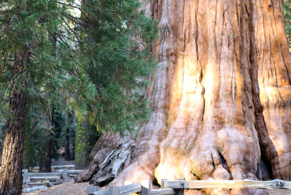 Visit Sequoia National Park, www.roadsanddestinations.com