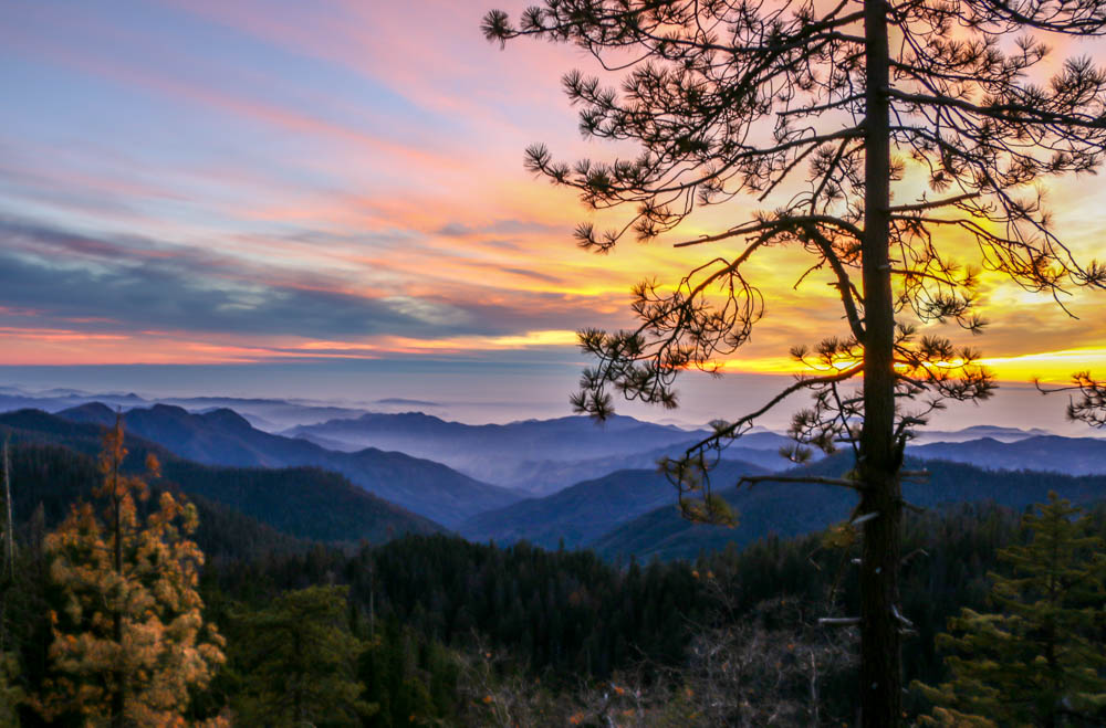 Visit Sequoia National Park, www.roadsanddestinations.com