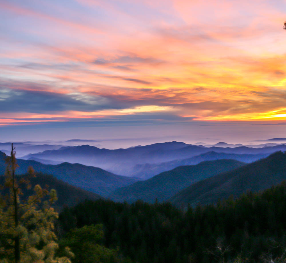 Visit Sequoia National Park, Outdoor Adventures - Roads and Destinations, roadsanddestinations.com