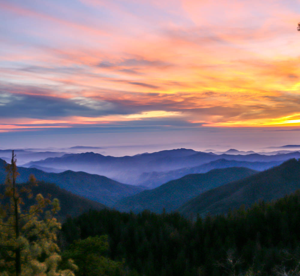 Visit Sequoia National Park, Outdoor Adventures - Roads and Destinations