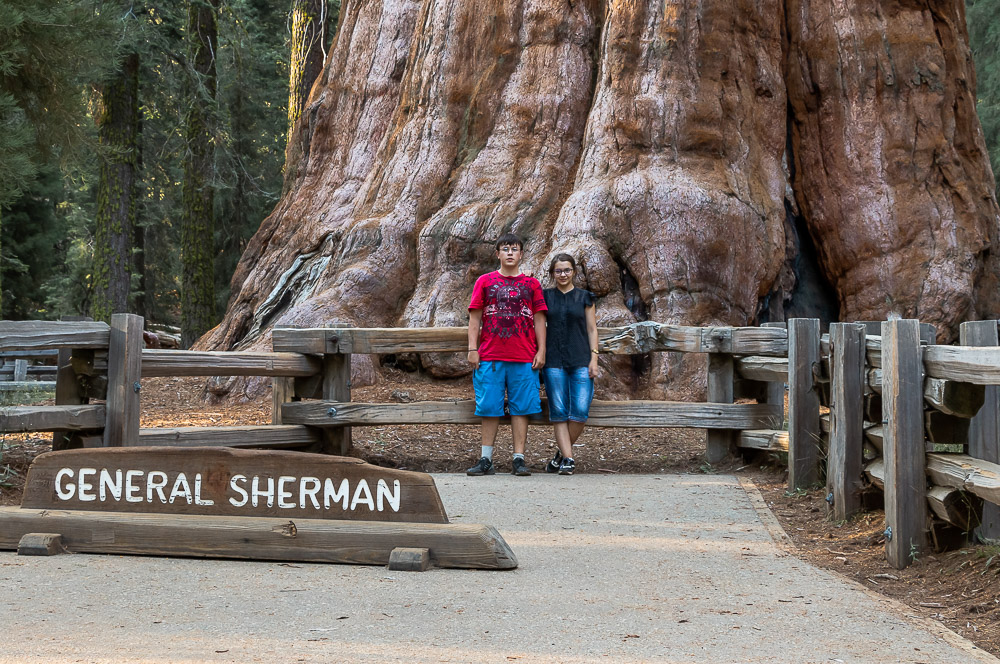 2 Days in Sequoia National Park - Roads and Destinations