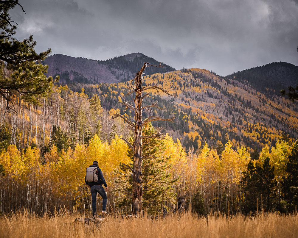 Arizona Road Trip - Roads and Destinations __ roadsanddestinations.com