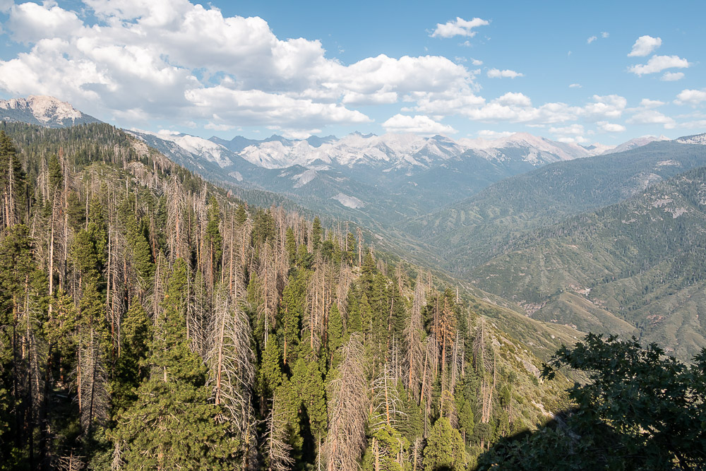 Sequoia National Park - Roads and Destinations _ roadsanddestinations.com