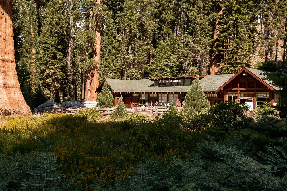 Giant Forest Museum - Roads and Destinations