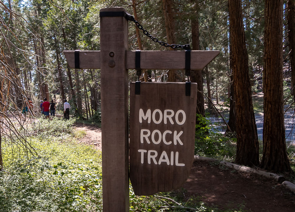 Sequoia National Park - Roads and Destinations_roadsanddestinations.com