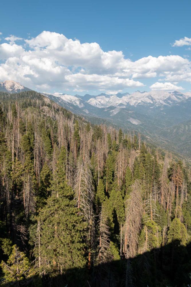 Hiking Moro Rock - Roads and Destinations