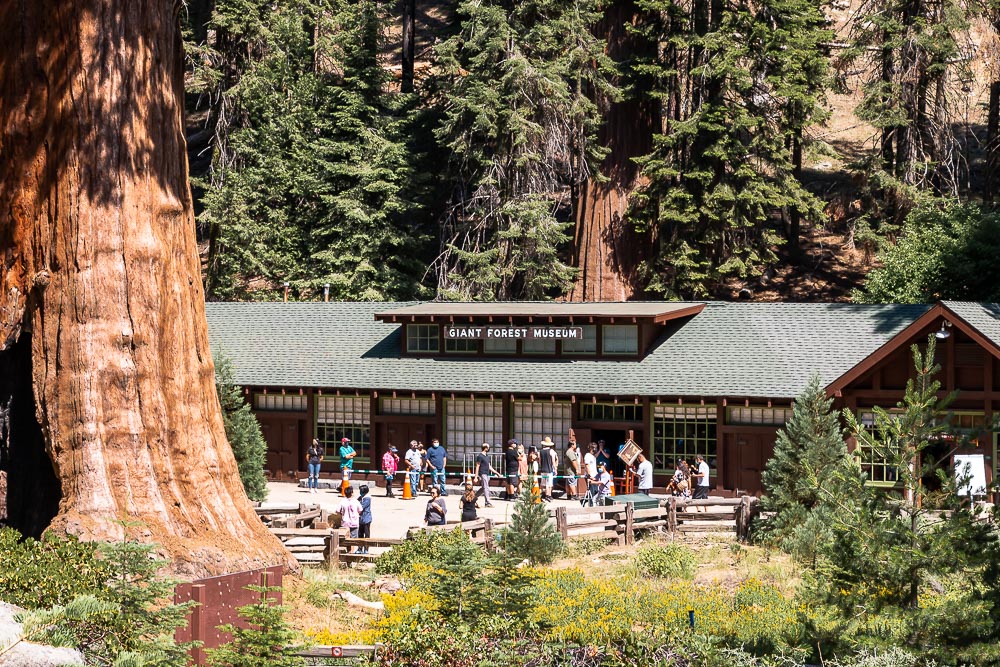 Hiking Moro Rock, 2 Days in Sequoia National Park - Roads and Destinations_roadsanddestinations.com