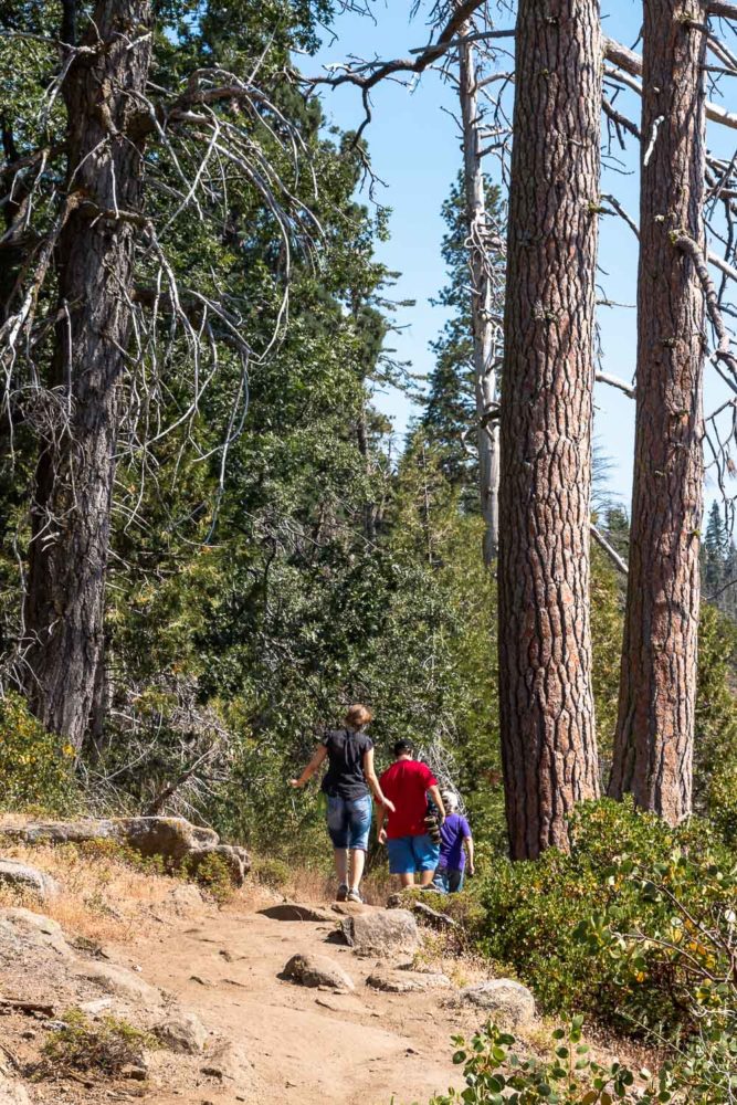 Hiking Moro Rock - Roads and Destinations_roadsanddestinations.com