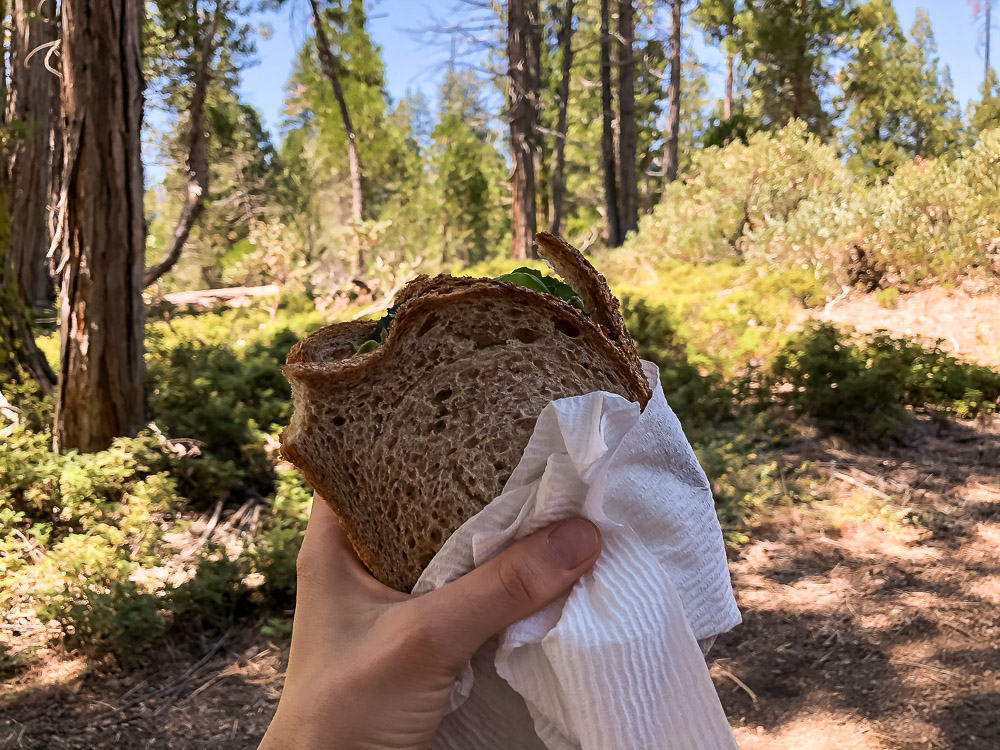 Lunch in Sequoia National Park - Roads and Destinations - roadsanddestinations.com