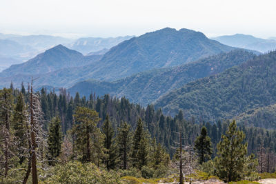 Where to Stay in Sequoia and Kings Canyon - Roads and Destinations - roadsanddestinations.com