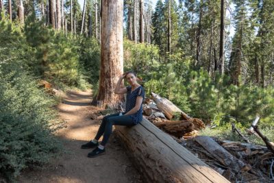 Where to Stay in Sequoia and Kings Canyon - Roads and Destinations roadsanddestinations.com