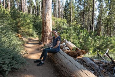 Where to Stay in Sequoia and Kings Canyon - Roads and Destinations roadsanddestinations.com