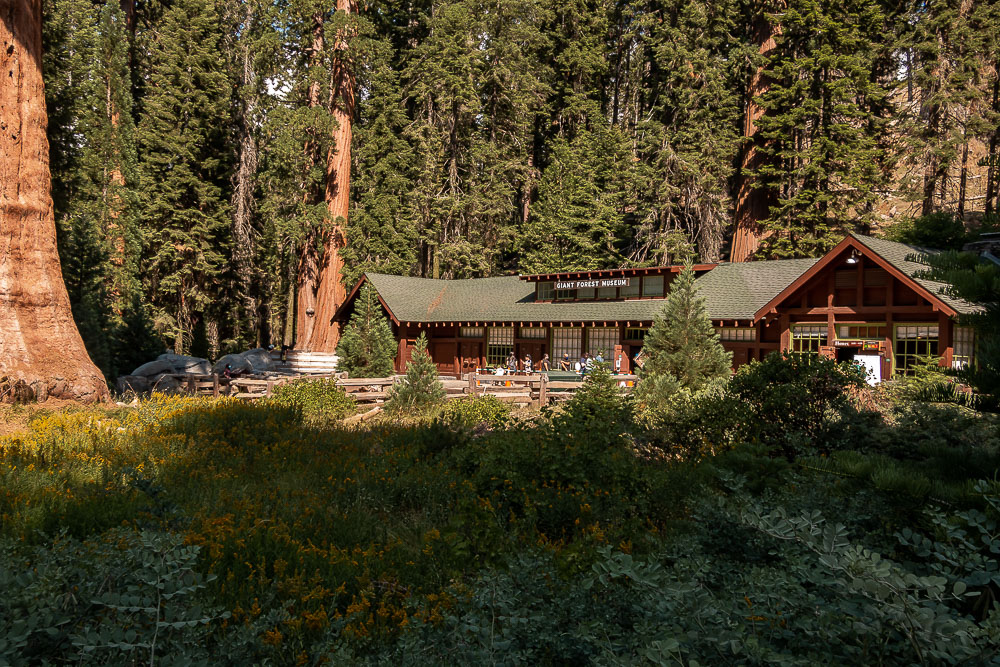 Where to Stay in Sequoia and Kings Canyon - Roads and Destinations
