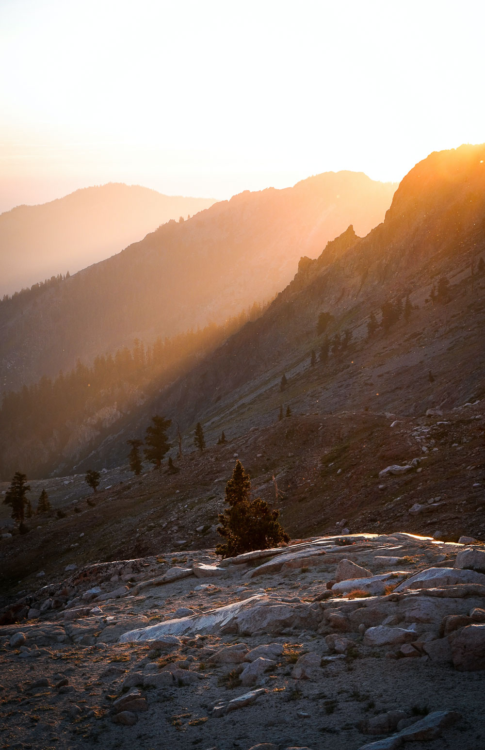 2 Days in Sequoia National Park - Roads and Destinations