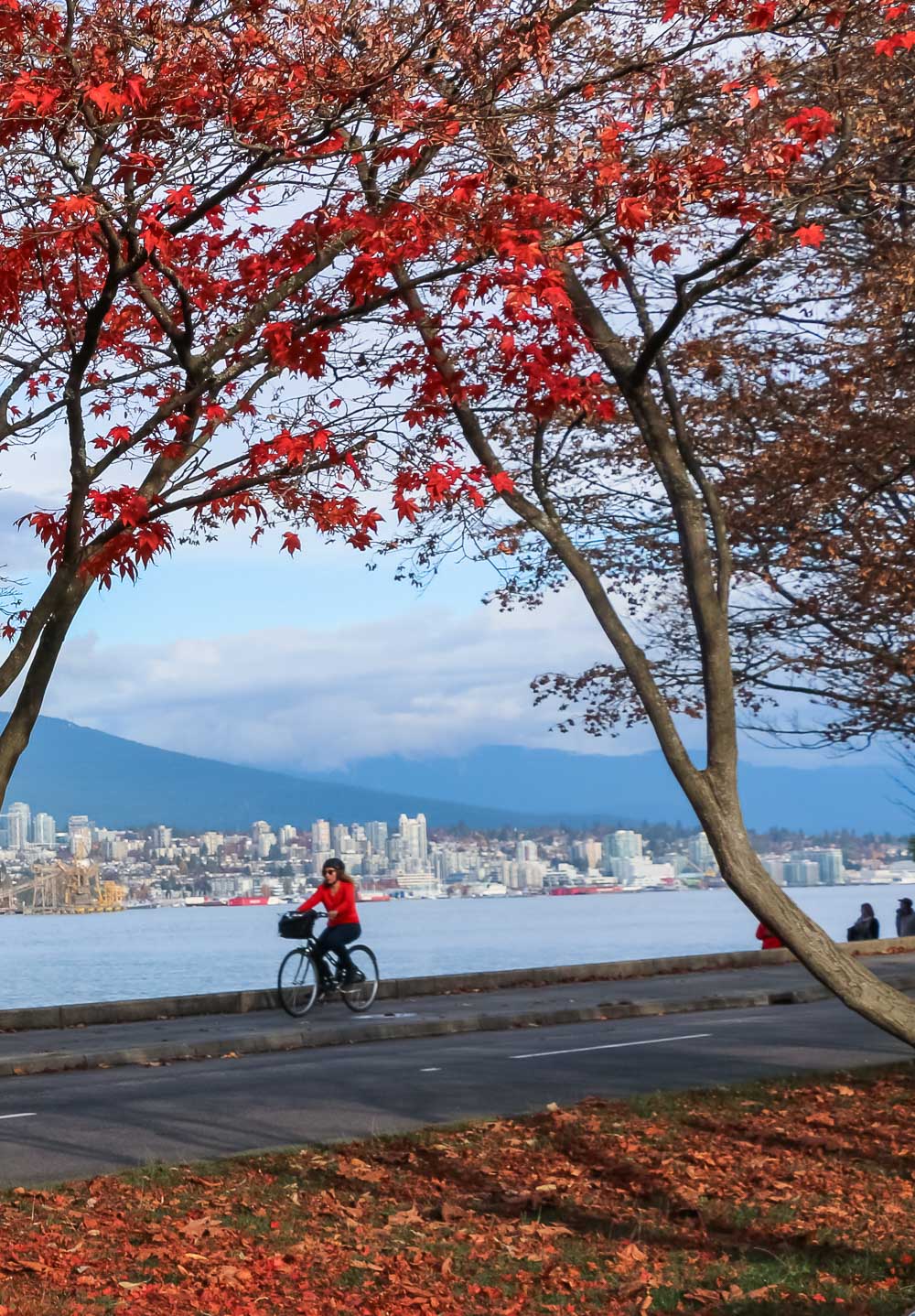 Places not to miss in Vancouver, Canada - Roads and Destinations