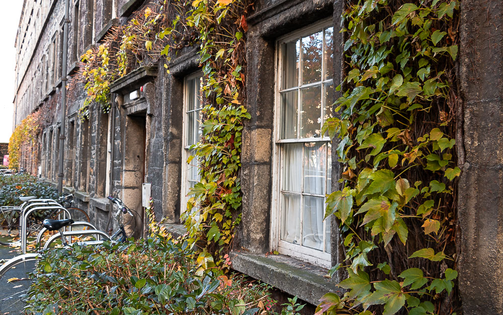 Visit Trinity College Dublin - Roads and Destinations