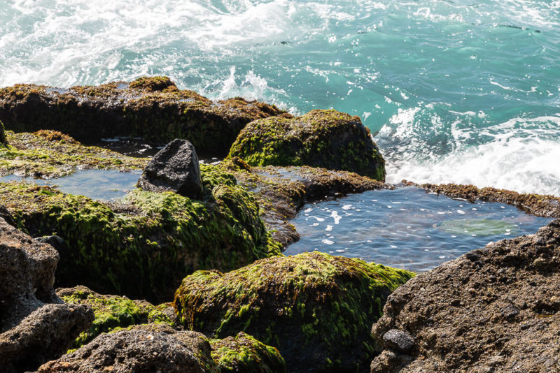 Prettiest spots in laguna beach everywile