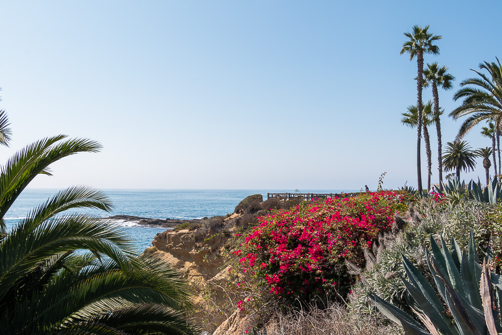 The Prettiest Beaches in Laguna Beach - Roads and Destinations roadsanddestinations.com