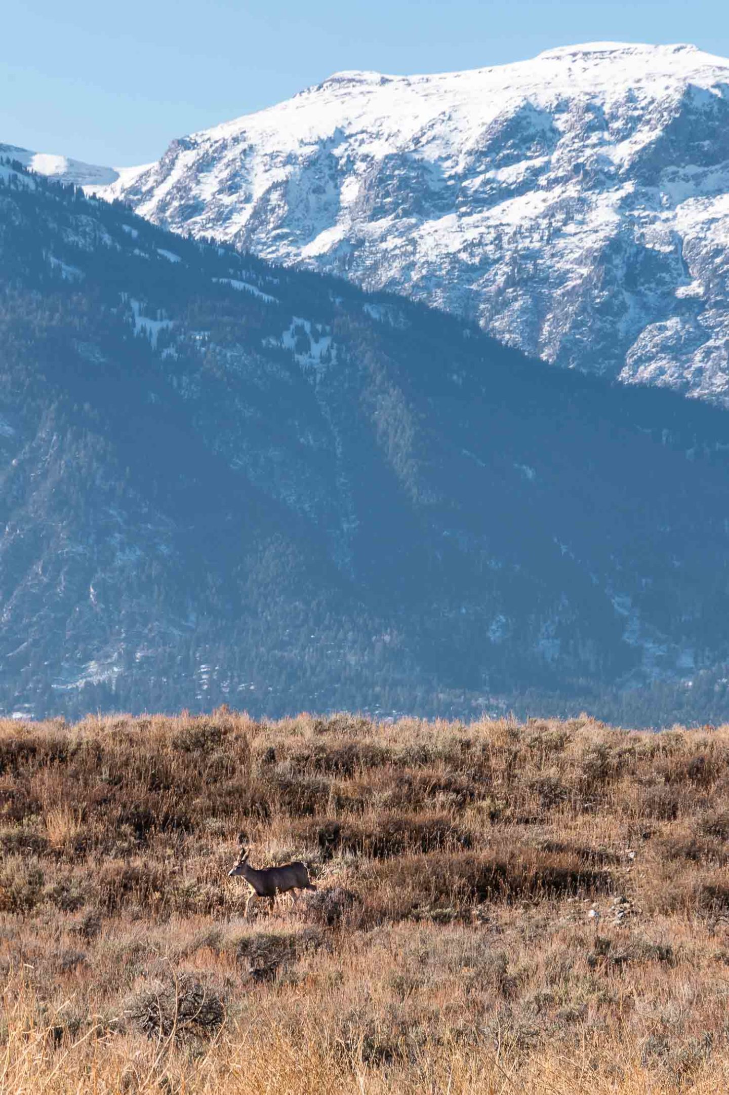 One Day in Grand Teton National Park - Roads and Destinations _ roadsanddestinations.com